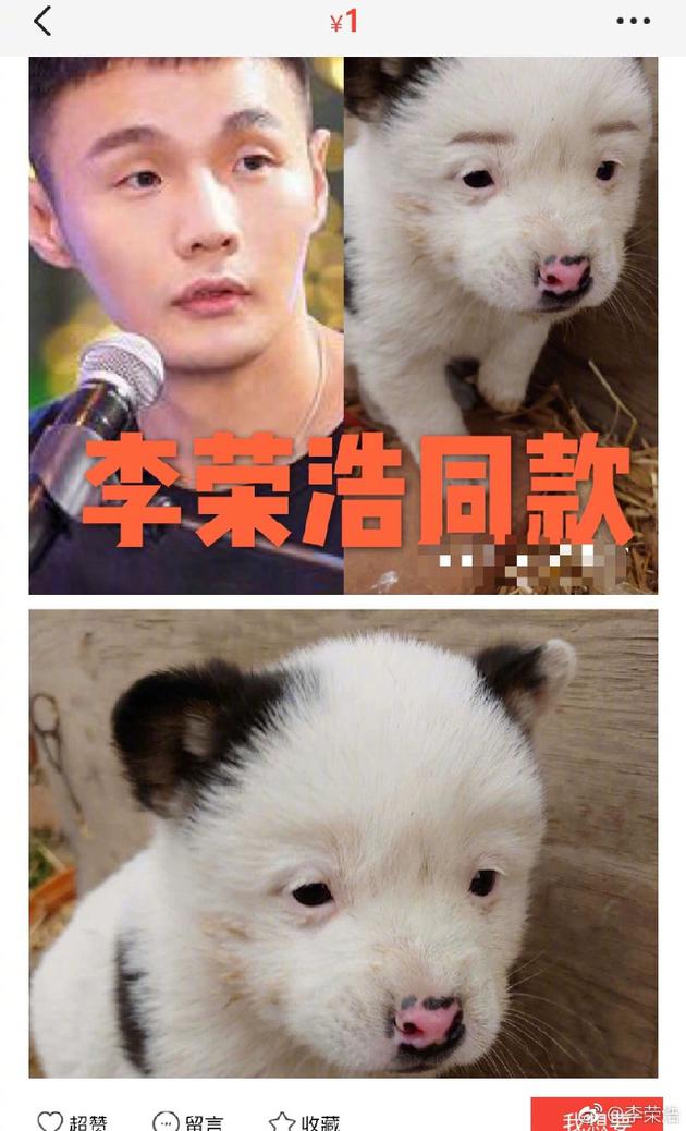 李荣浩“同款”狗狗售价1元 本尊:为什么那么便宜