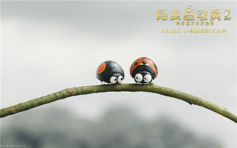 《昆虫总动员2-来自远方的后援军》先导预告曝光_娱乐频道_中国青年网