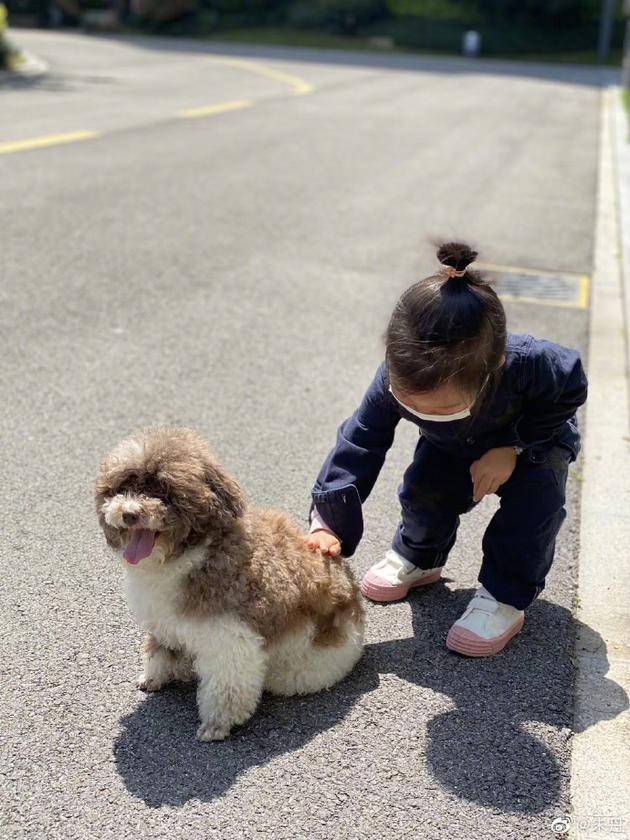 [爱犬]朱丹晒照分享带娃日常 小小丹扎丸子头逗狗超软萌