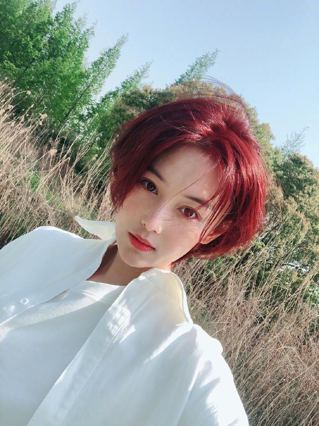 「言论」张馨予发长文谈侵权者求饶：法律面前没法逃