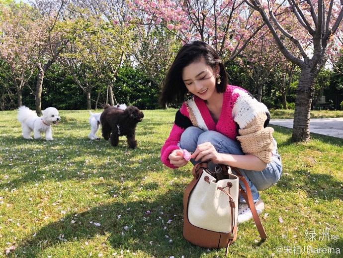 『针织上衣』宋祖儿外出踏青晒美照 粉毛衣配高腰牛仔裤活力十足