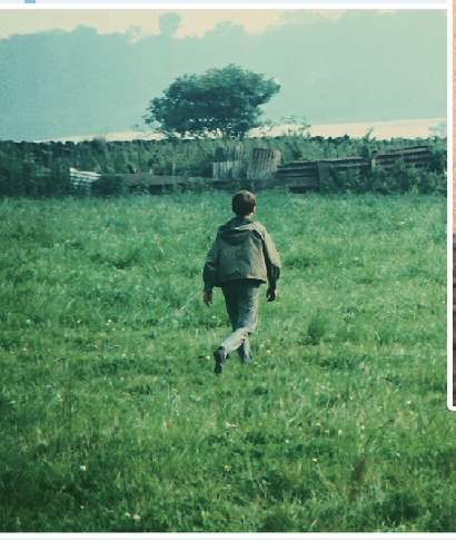 电影那些被礼赞的青春光华 克服了无数的挫败和伤痛