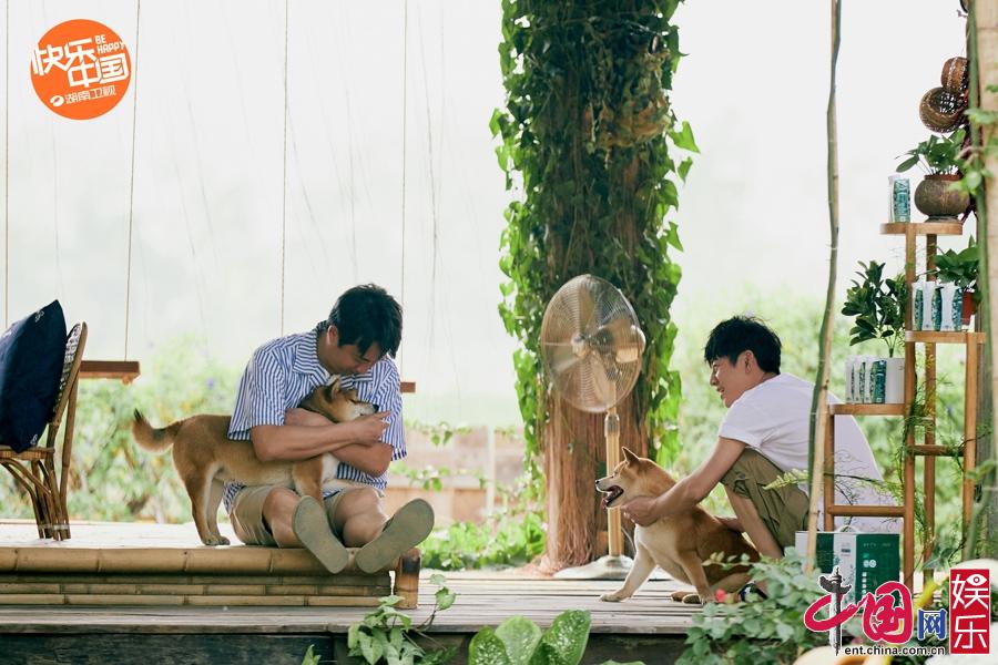 张子枫蘑菇屋新朋老友来会面 《向往4》真情满溢众人心