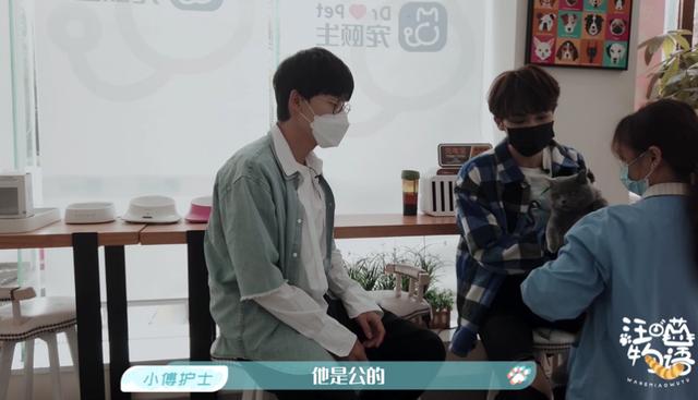 鹌鹑《汪喵物语》张雨剑厨艺挑战再次翻车 朱正廷观影动情落泪