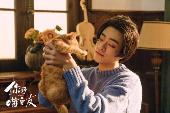 出道《你好喵室友》郑云龙马伯骞蔡维泽破次元“萌聚”