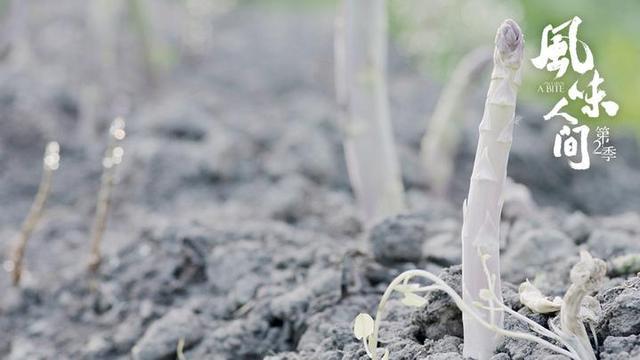 观众《风味人间》第2季收官 另类解读根茎类食物