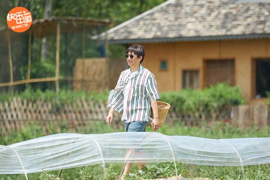 何炅《向往的生活4》热播 蘑菇屋里“朋友一生一起走”