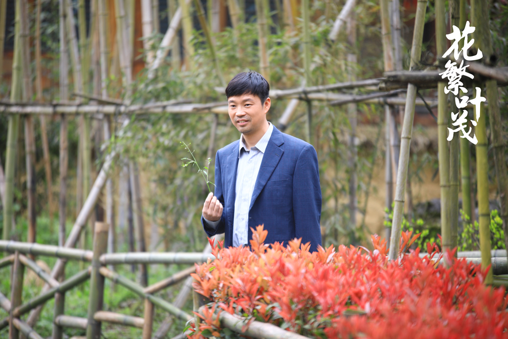 扶贫有趣有梗接地气《花繁叶茂》解锁扶贫剧新方向