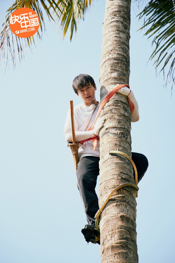 海清《向往4》老师学生齐聚一堂 黄磊海清任重忆往事