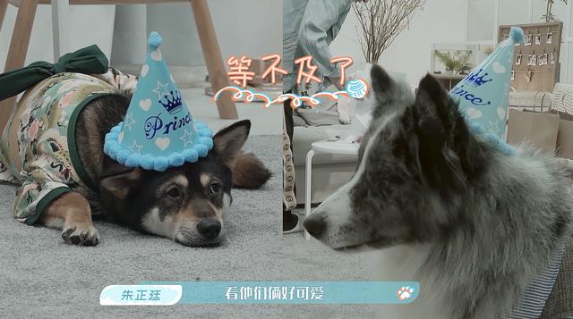 ��������������չ� ����͢���꽣�����ƴ����ﹷ