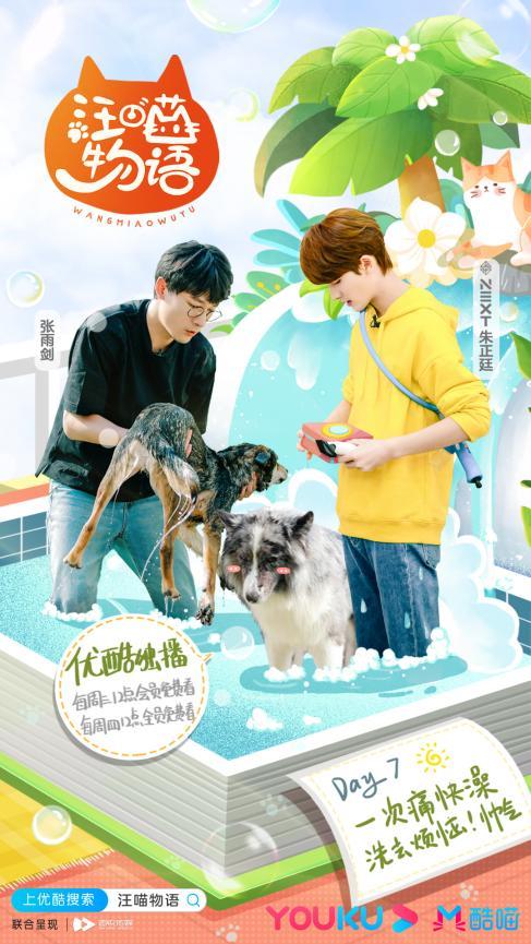 《汪喵物语》铲屎官老友重聚上演才艺大比拼
