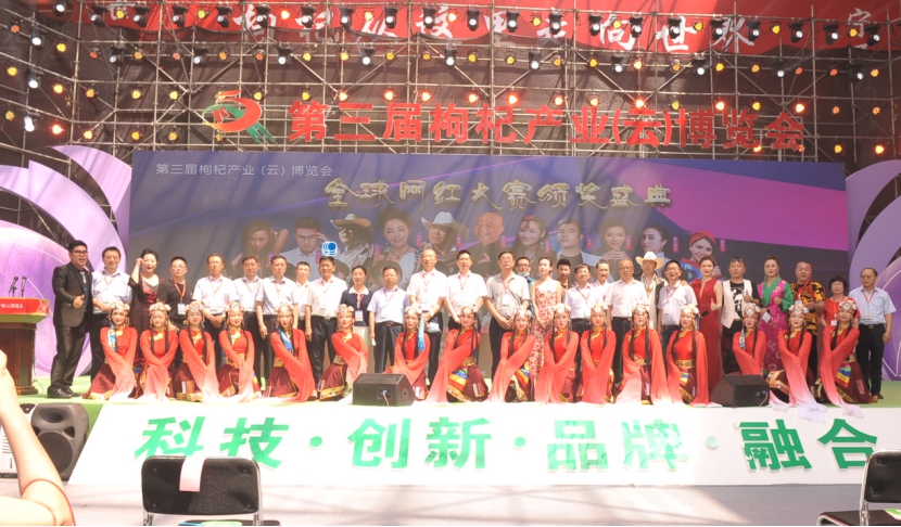 全球网红大赛颁奖盛典中宁站隆重开幕