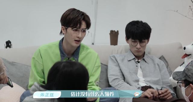 领养|《汪喵物语》朱正廷张雨剑走心谈宠物领养