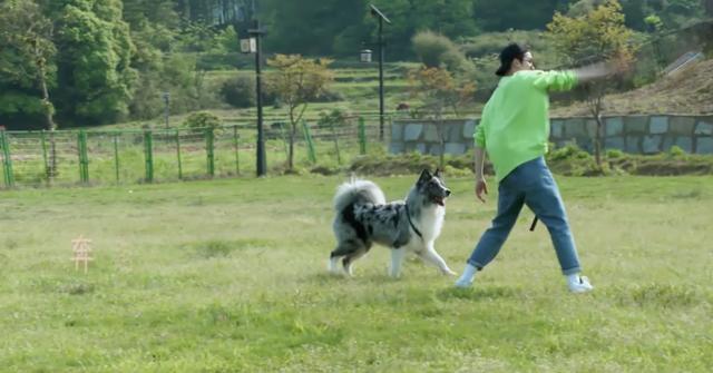 领养|《汪喵物语》朱正廷张雨剑走心谈宠物领养