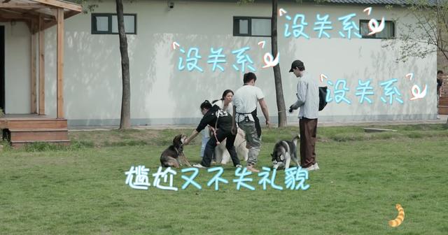 领养|《汪喵物语》朱正廷张雨剑走心谈宠物领养