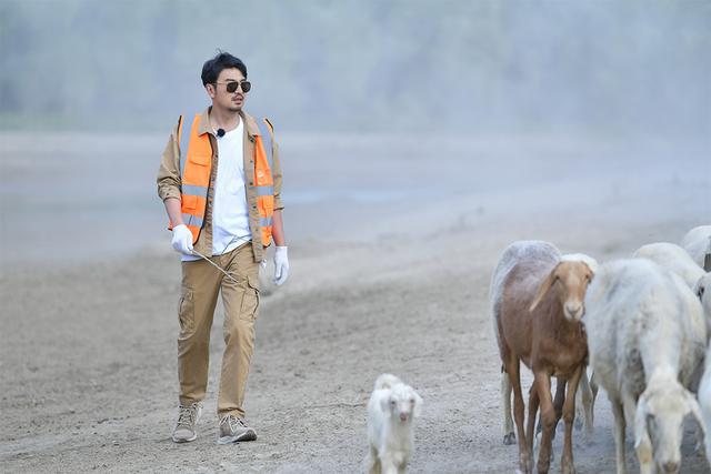 《极限挑衅宝藏行》致敬胡杨精力 99岁护林员讲演护林故事