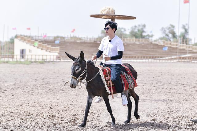 毛驴|《极限挑战宝藏行》郭京飞带伤夺羊皮 成员体验民俗文化