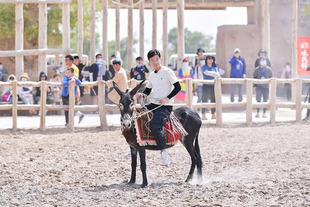 毛驴|《极限挑战宝藏行》郭京飞带伤夺羊皮 成员体验民俗文化
