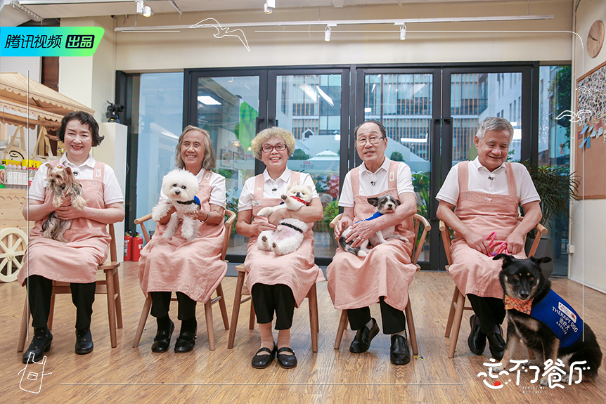 李佳琦携爱犬never光临《忘不了餐厅》展神奇治愈力