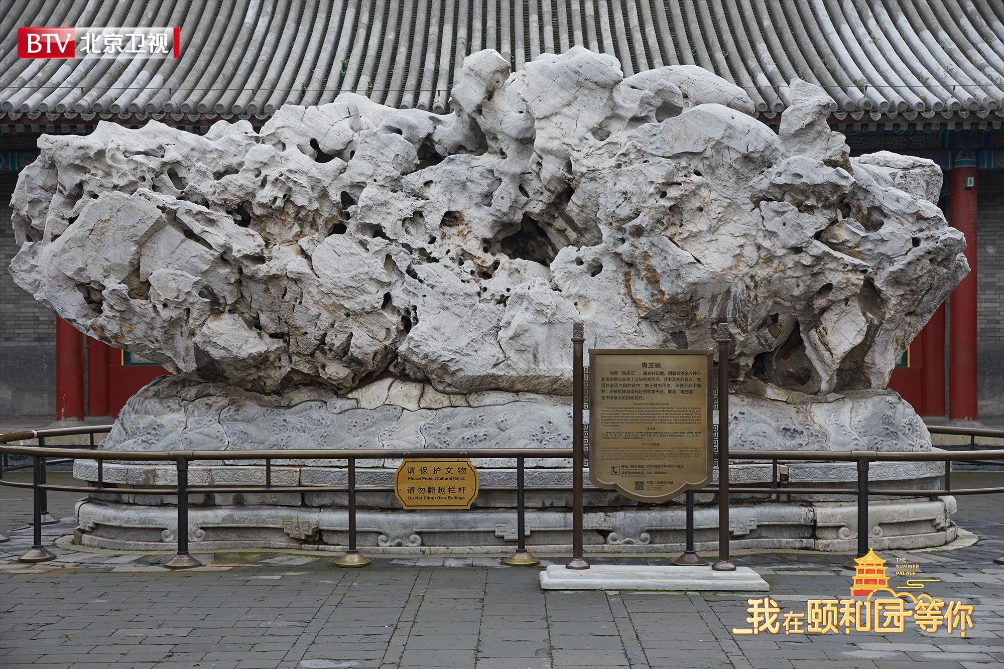 消暑|《我在颐和园等你》张国立王鹤棣解锁“颐和盛夏”