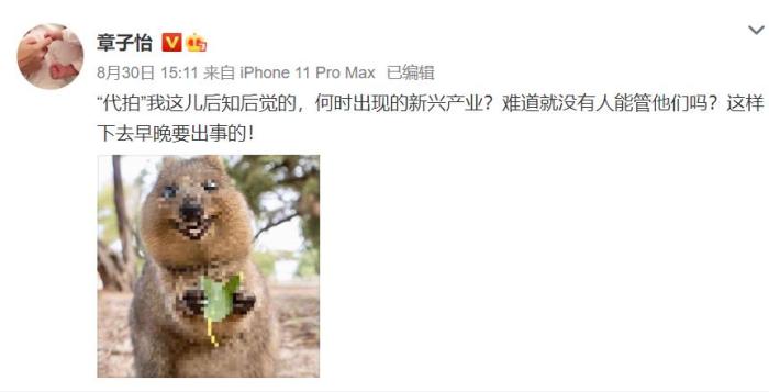 明星|明星代拍，不该拿着“镜头”当令箭