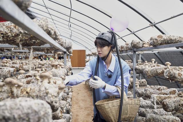 “极挑团”开启甘肃之旅 雷佳音“土豆扫雷”圈粉