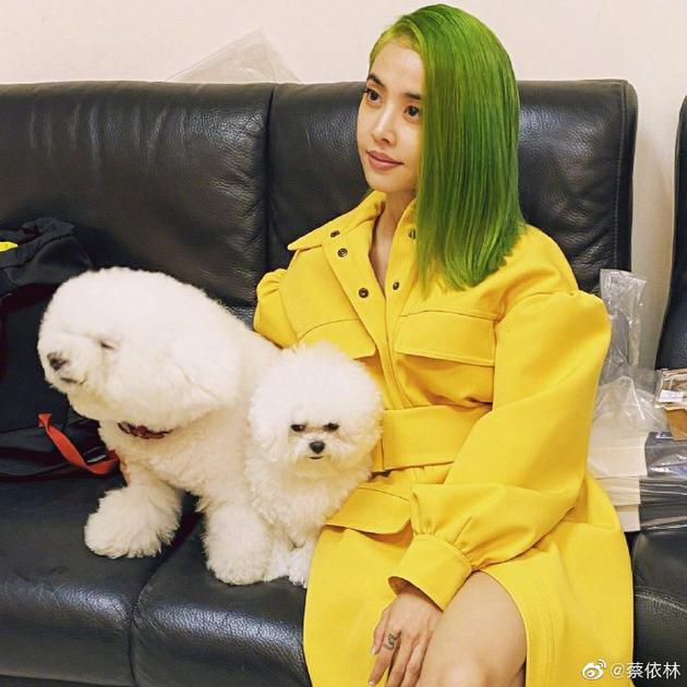 蔡依林与爱宠温柔互动 绿发黄衣出镜炫酷又大胆