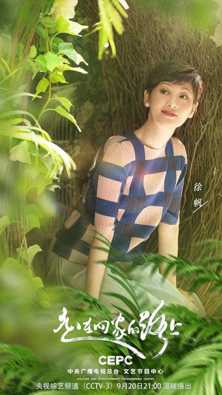 央视《走在回家的路上》温情满溢 徐帆戴德良师挚友