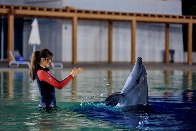 《完美的夏天》热播 李汶翰挑战高台跳水