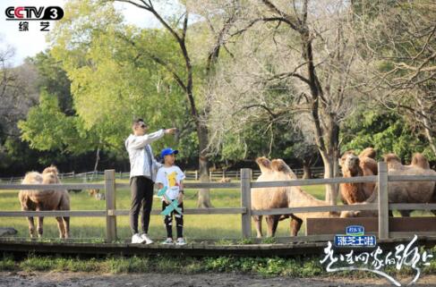 《走在回家的路上》赵文卓携子探望师友不忘武术精神