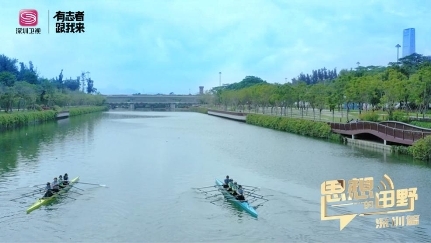 《头脑的郊外·深圳篇》走进“先行示范区” 见证新时代的“深圳速度”