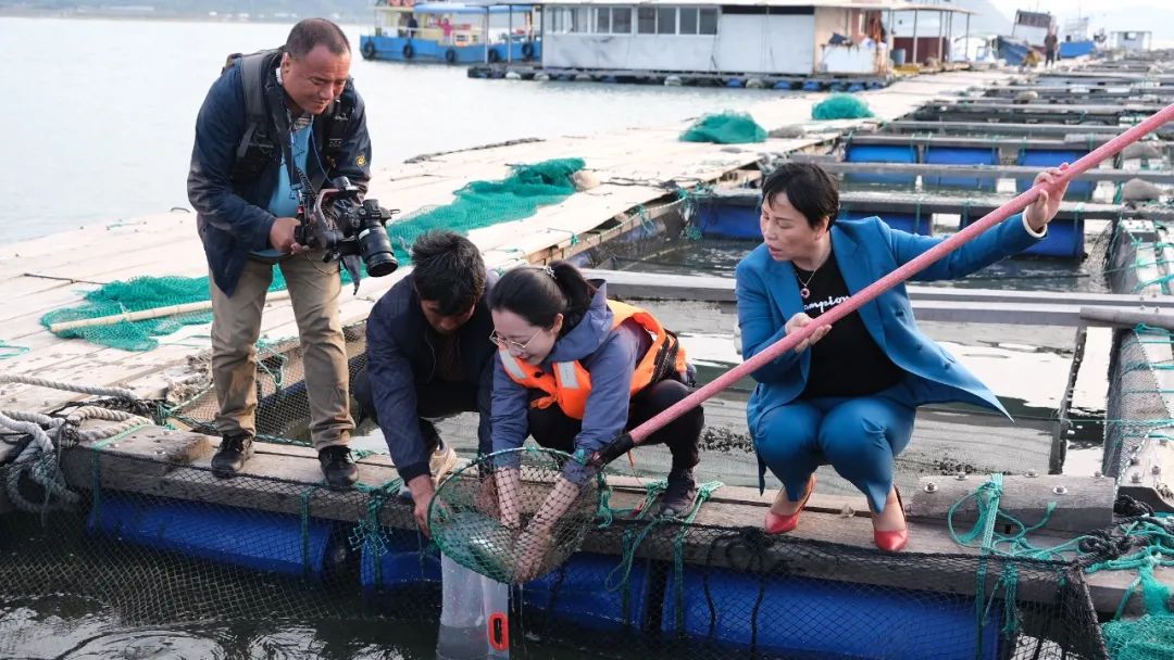 直播|骑海马、赶小海、送大黄鱼……央视《远方的家》直播第一站奔向宁波大海！