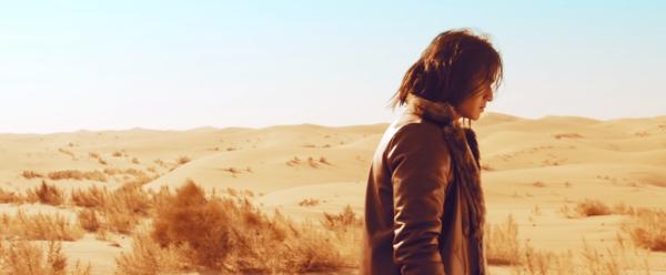 电影《36号庇护车》北京首映礼发布会