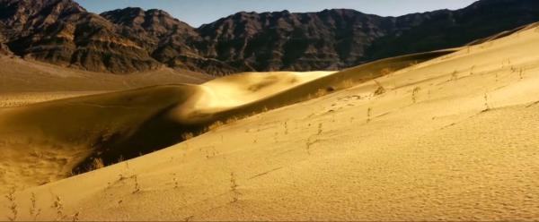 电影《36号庇护车》北京首映礼发布会