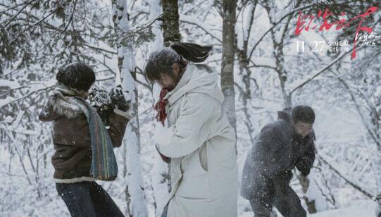 梁鸣作品《日光之下》首映口碑获赞 终极预告曝光