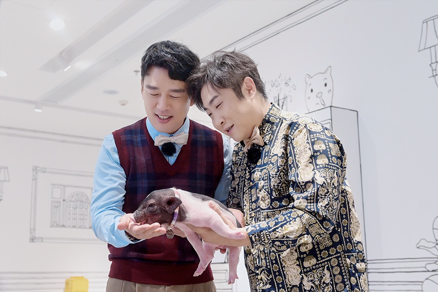 《神奇公司在哪里》乔杉杨迪上演神奇升职记