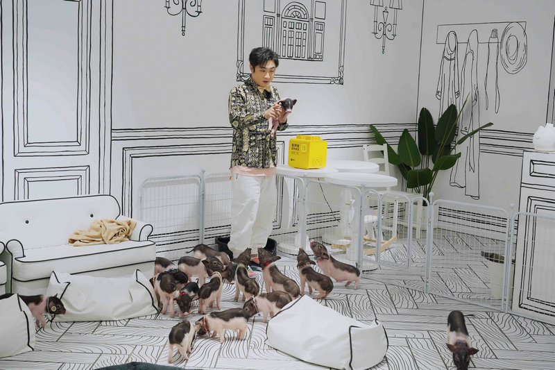 《神奇公司在哪里》复刻经典回忆杀 乔杉成“套路王”