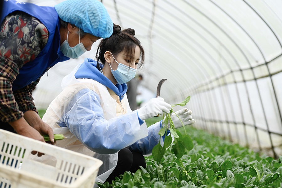 《神奇公司在哪里》王耀庆乔杉匡助老人完成心愿