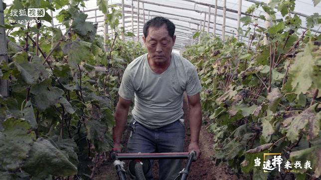 《当选择来找我》记录责任与助梦下的“治愈式”脱贫