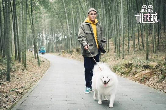 《念念桃花源》阮经天张天爱周奇开启都市桃花源生活