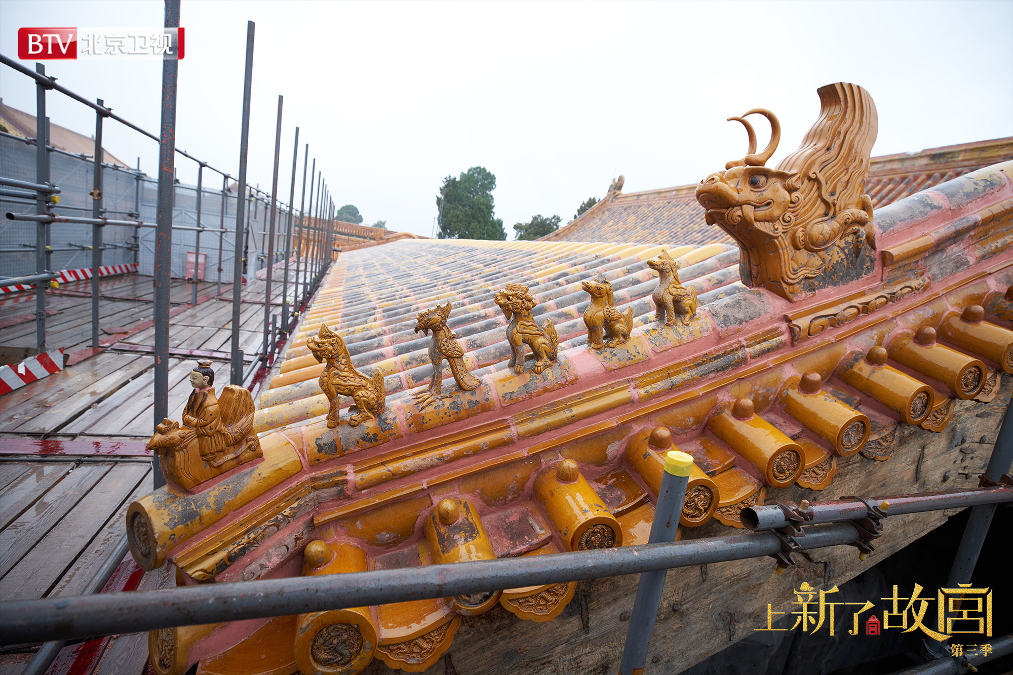 《上新了·故宫》邓伦魏晨聂远寻找紫禁城最神奇的色彩