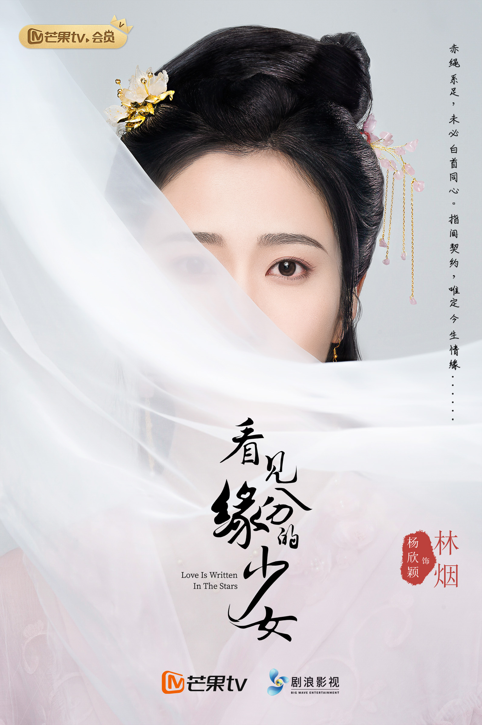 杨欣颖.jpg
