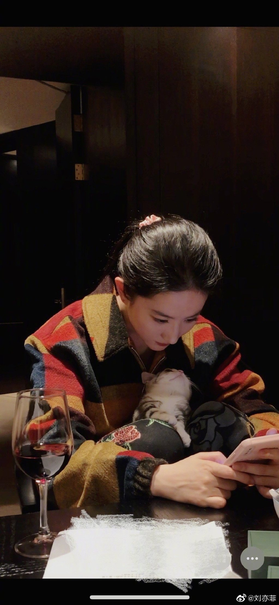 可爱！刘亦菲晒与小猫合影画面软萌温馨