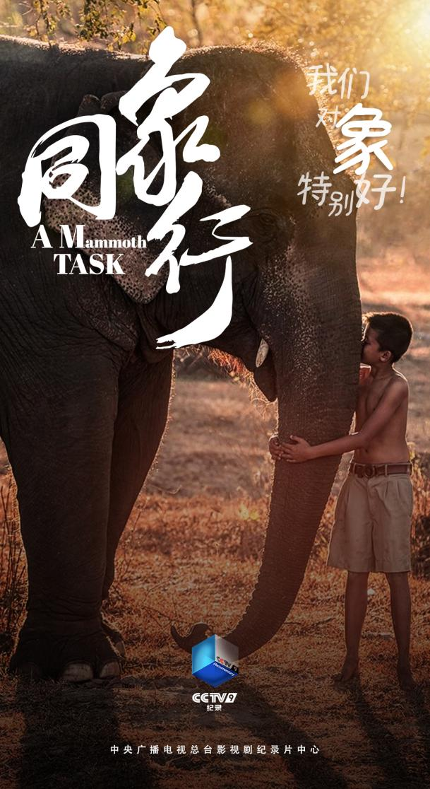 《同象行》：传递充满温情的中国野生动物保护故事