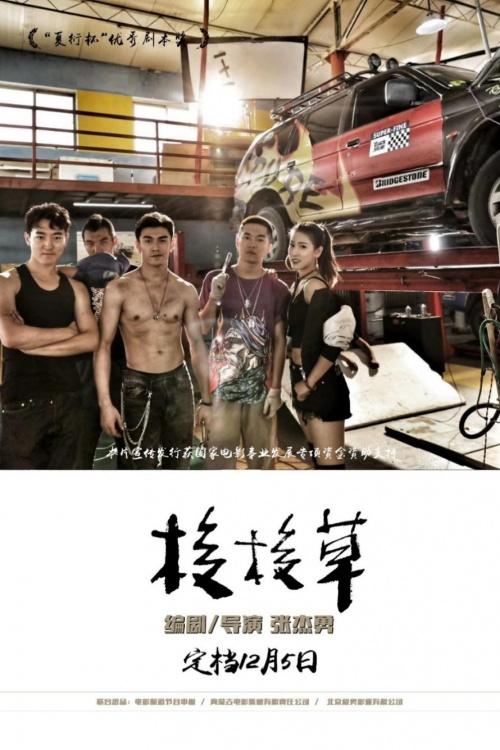 电影《梭梭草》发布预告片 定档12月5日