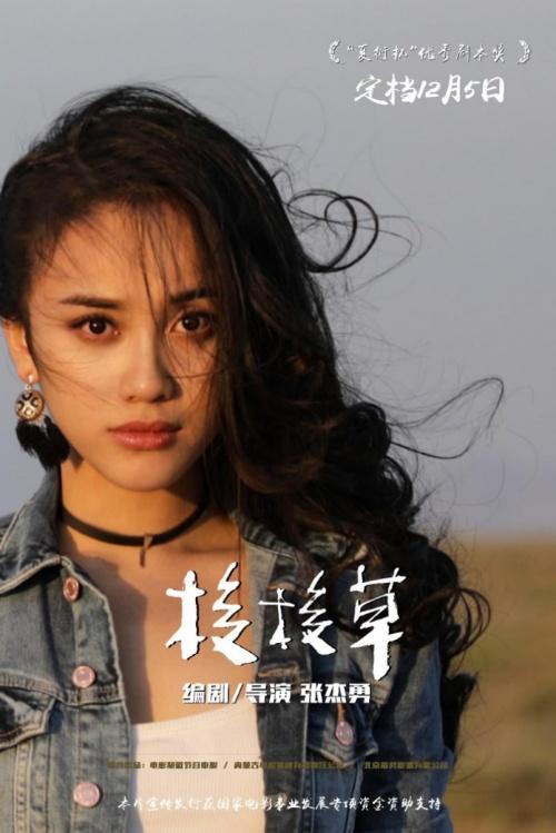 电影《梭梭草》发布预告片 定档12月5日