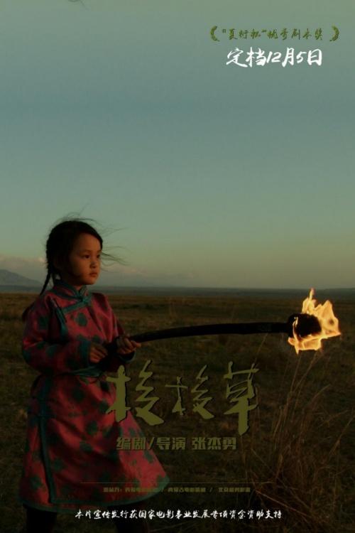 电影《梭梭草》发布预告片 定档12月5日