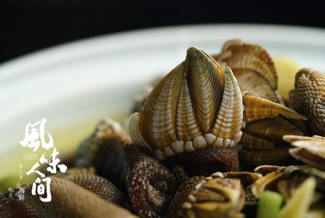 《风味人间3》深扒海鲜背后故事 观众:干货满满