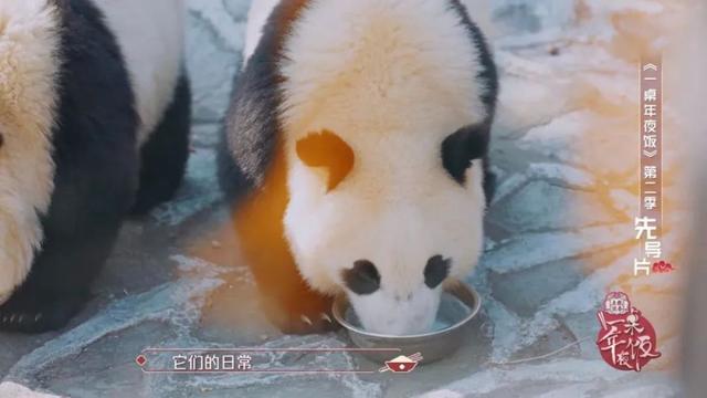 《一桌年夜饭2》发布先导片 致敬身边楷模人物