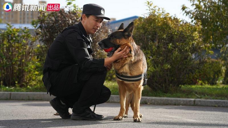 警犬微记载片《了不起的它》今日上线 用记载致敬无言卫士